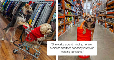 This Dog Is The Latest Addition To The Home Depot Staff, And The Customers Couldn't Be Happier