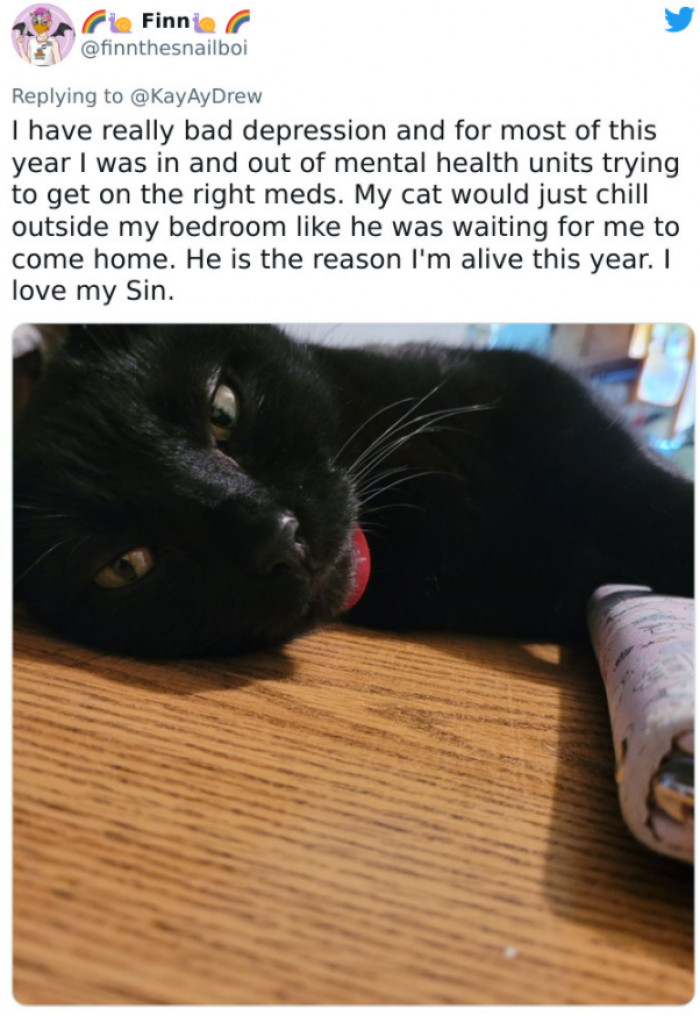 #20 Animals can help people cope with depression.