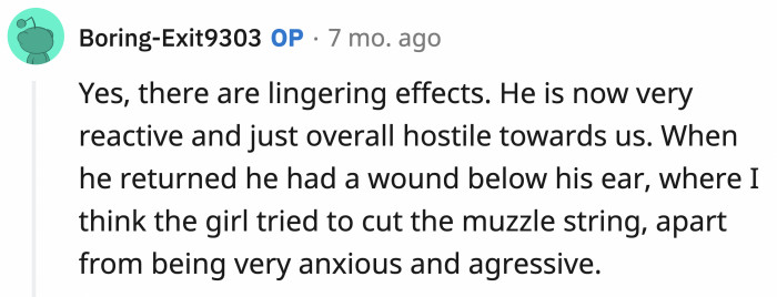 He was wounded in the area where the girl tried to cut the string off of his muzzle (dangerous), and he is now reactive and hostile toward his humans.