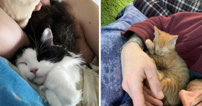These Cats Succeeded In Snatching 15 Men From Their Wives And Girlfriends Without Showing Any Remorse