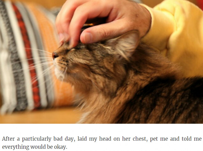 21. So many emotions are conveyed through simple acts like this