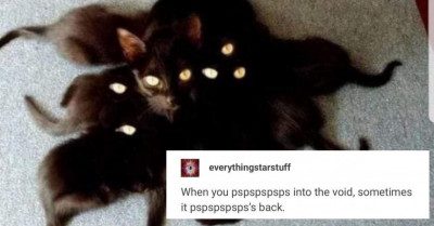 21 Times Cats Provided Compelling Evidence They May Actually Be Evil