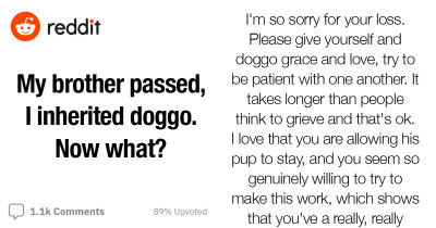 Man's Brother Passed Away So He Inherited His Dog That He Didn't Want
