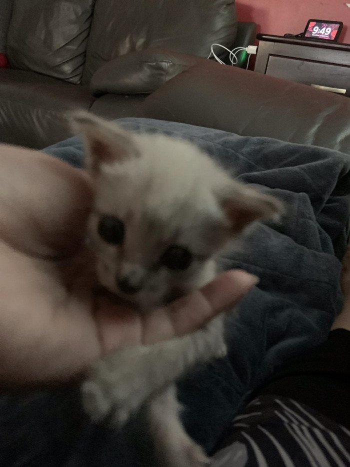 And her nose also started to change color.