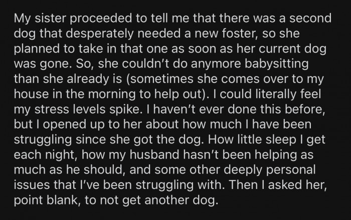 OP's sister couldn't babysit her kids anymore because she was fostering a new dog.