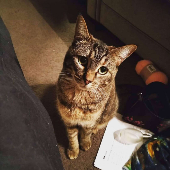 Amanda couldn't help but think about Tony and how much he must be missing his