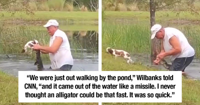 74-Year-Old Man From Florida Fights Alligator And Saves His Three-Month-Old Puppy