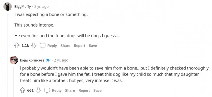Thank goodness it wasn't a bone; he probably couldn't have been saved otherwise.