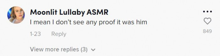 Here's how people on TikTok reacted to Gilligan's little party: