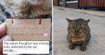 Cat Goes Missing, Returns Home Three Days Later With A Funny Note On Her Neck And An Outstanding Debt