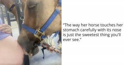 A Heart-Melting Video Of A Horse "Kissing" Its Pregnant Owner's Baby Bump Will Leave You In Seventh Heaven