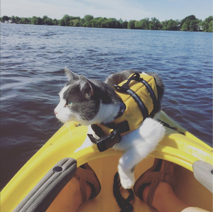 Now he's ready to go for an adventure!