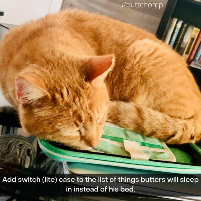 20. Compact and COZY