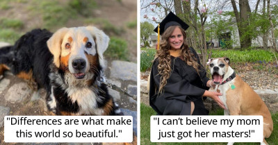 21 Lovely Animals That Could Melt Your Heart In Just A Few Seconds