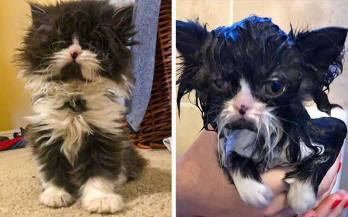 8. Someone certainly regrets taking a bath