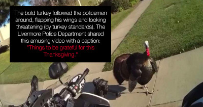 Wild Turkey Warns Traffic Cop He Can’t Write Tickets In His Neighborhood