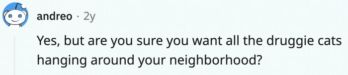 Catnip is widely known as "drugs" for cats.