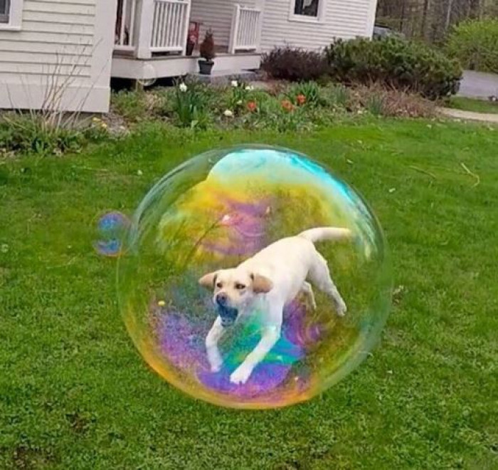 8. How did he fit in there so well?