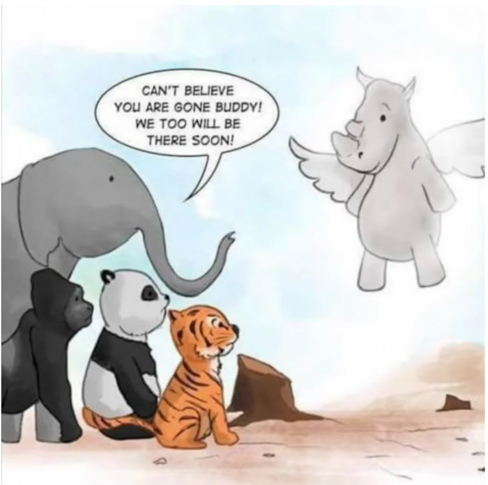 29. That day isn't far when humans will be extinct too.