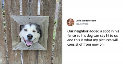 21 Lovely Animal Tweets For Your Daily Dose Of Happiness