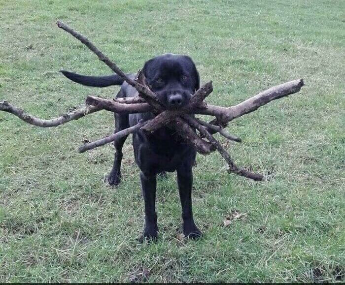 8. Meet the branch manager