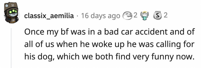 Anesthesia has a strong effect hours after surgery, causing some people to search for their pets.