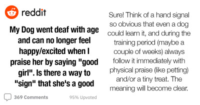 Person Asks The Internet For Tips On How To Use "Signs" To Let Their Deaf Dog Know She's A Good Girl