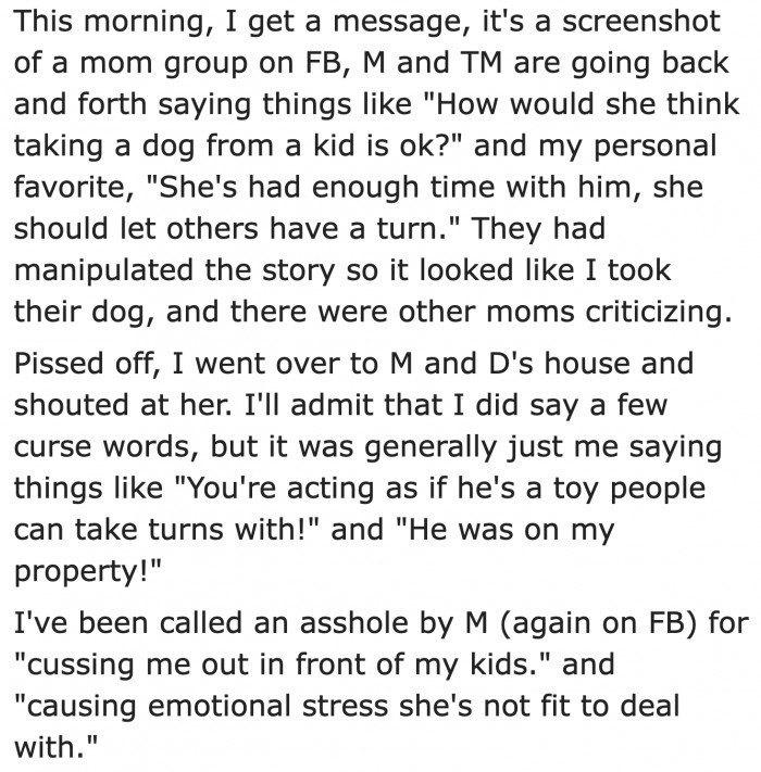 The moms are now bad mouthing her, making the original dog owner look like she's the bad guy in the situation.