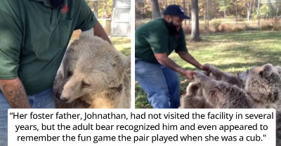 Orphaned Bear Gets Reunited With Her Human Rescuer After Years Apart