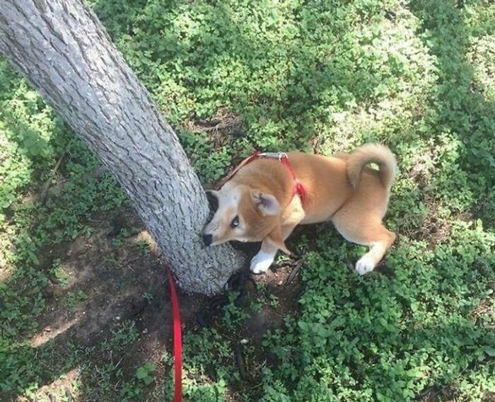 22. I'm gonna get you the biggest stick ever