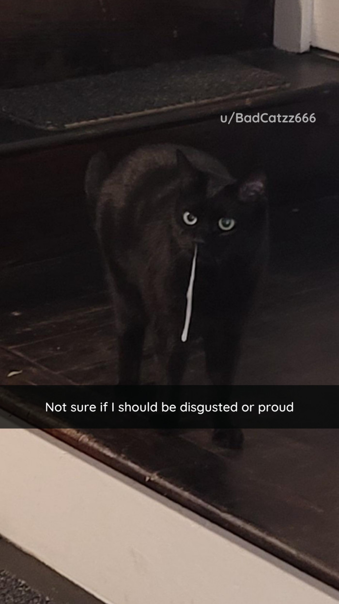 26. Don't be surprised if you throw up in your mouth a little bit after seeing this one.