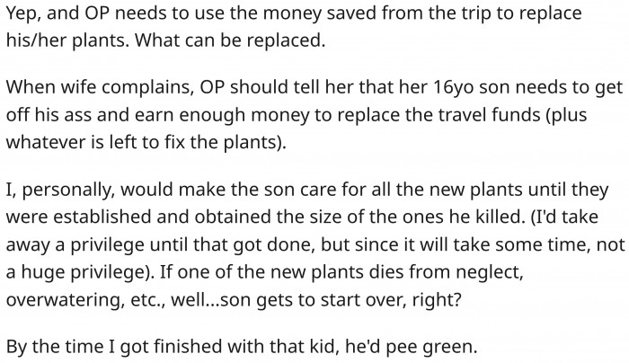 It's a fair punishment. After all, he needs to replace those plants.