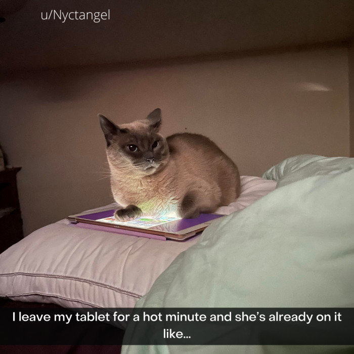 22. A hot minute turned into a hot butt pad.