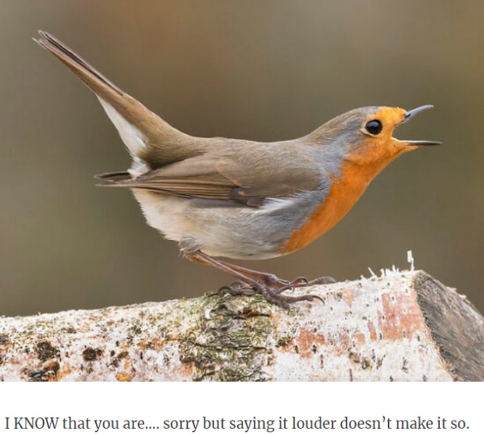 26. Just stop shouting already.