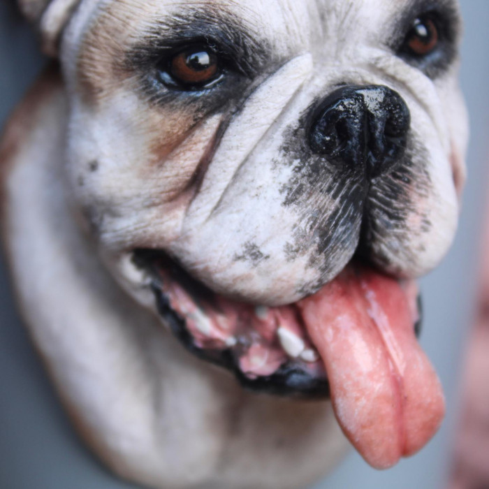 Such Incredible Detail