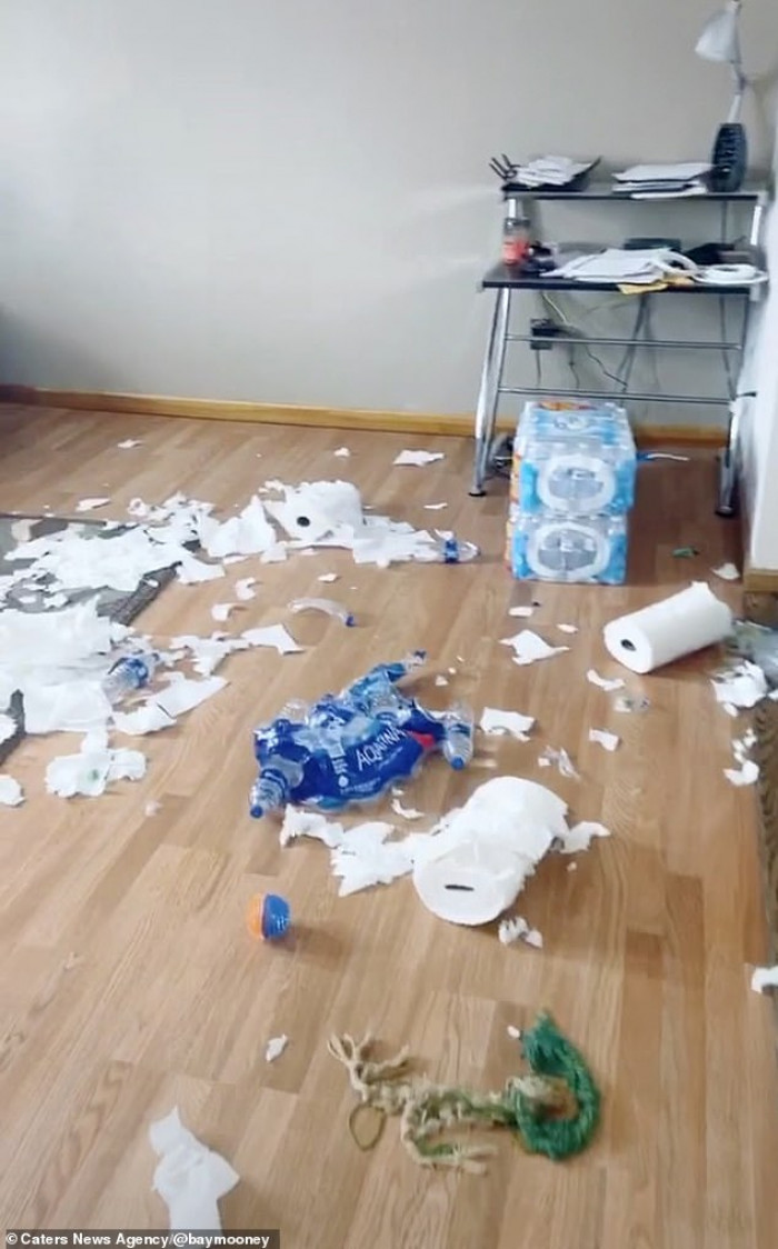 Water bottles and toilet paper stockpile torn open during isolation lockdown