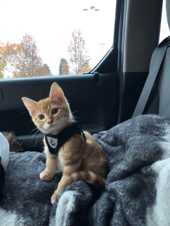 "Best road trip buddy."