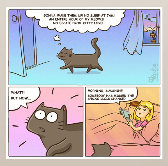 Seriously Relatable Cat Comics You're Definitely Going To Love