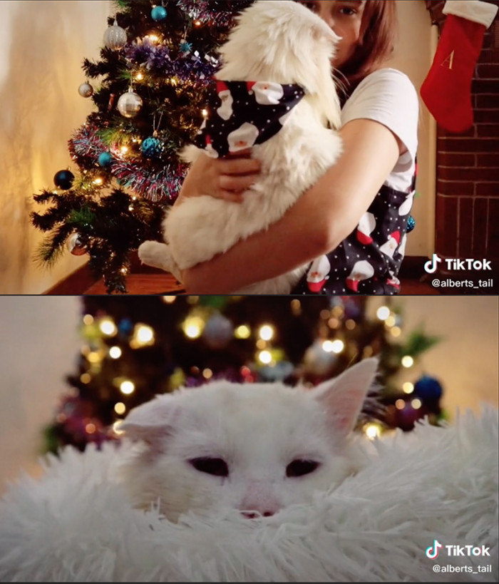 Christmas with Albert: