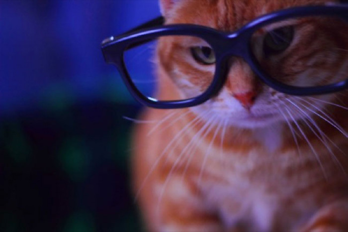 3. Looking like a genius.