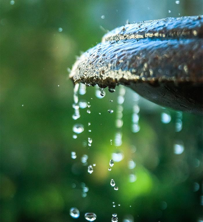 12. It will be too bubbly.