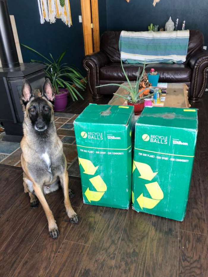 “I saw that you could buy 30, 60, 200, or 400 tennis balls,” Clyde said. “I first picked the 60-pack and was like, ‘What? No. That’s not good enough. He deserves ALL the tennis balls!’”