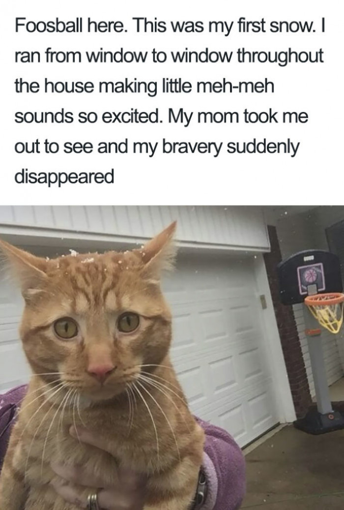 Oh. OH. Poor Foosball.