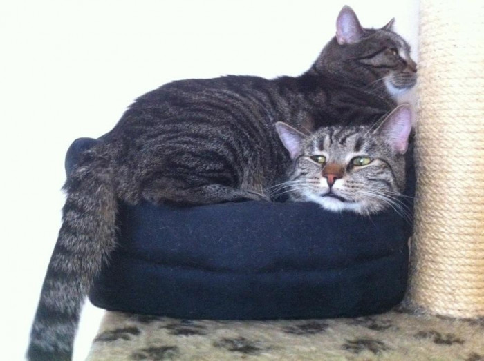 1. "You can almost feel the brotherly love."
