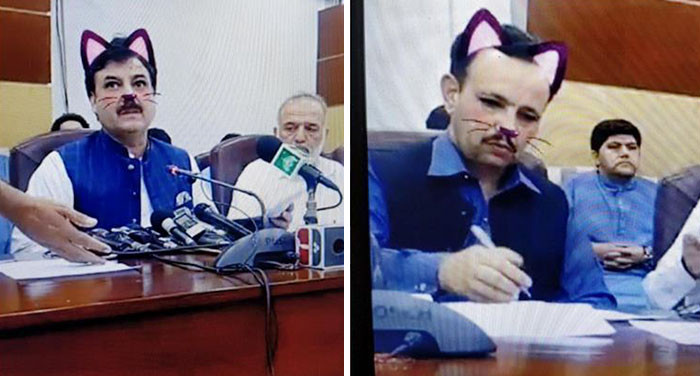 The stern and serious faces of the public officials addressing local government issues were im-paws-ible to take seriously with the adorable cat faces being featured.