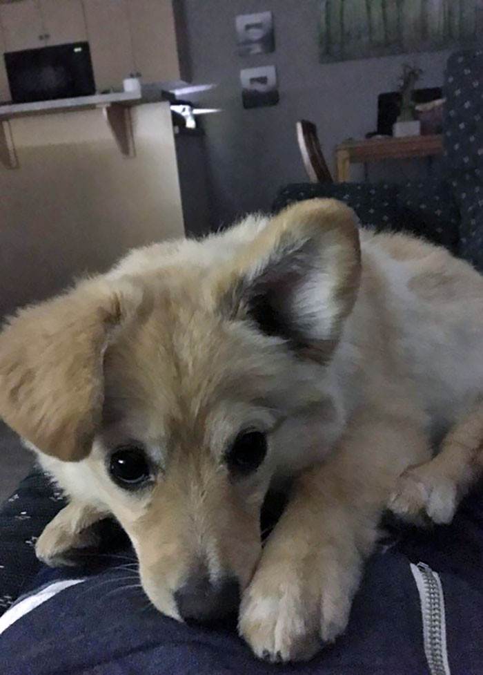 If You Fall Asleep Sick...