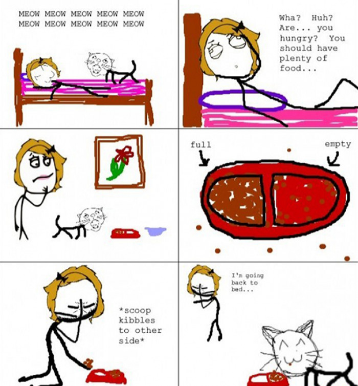 #81 Cats And Food - A Never-Ending Nightmare