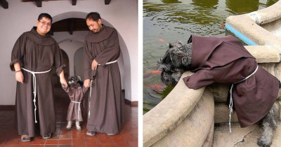 A Bolivian Monastery Adopted A Dog And Named Him Friar Mustache