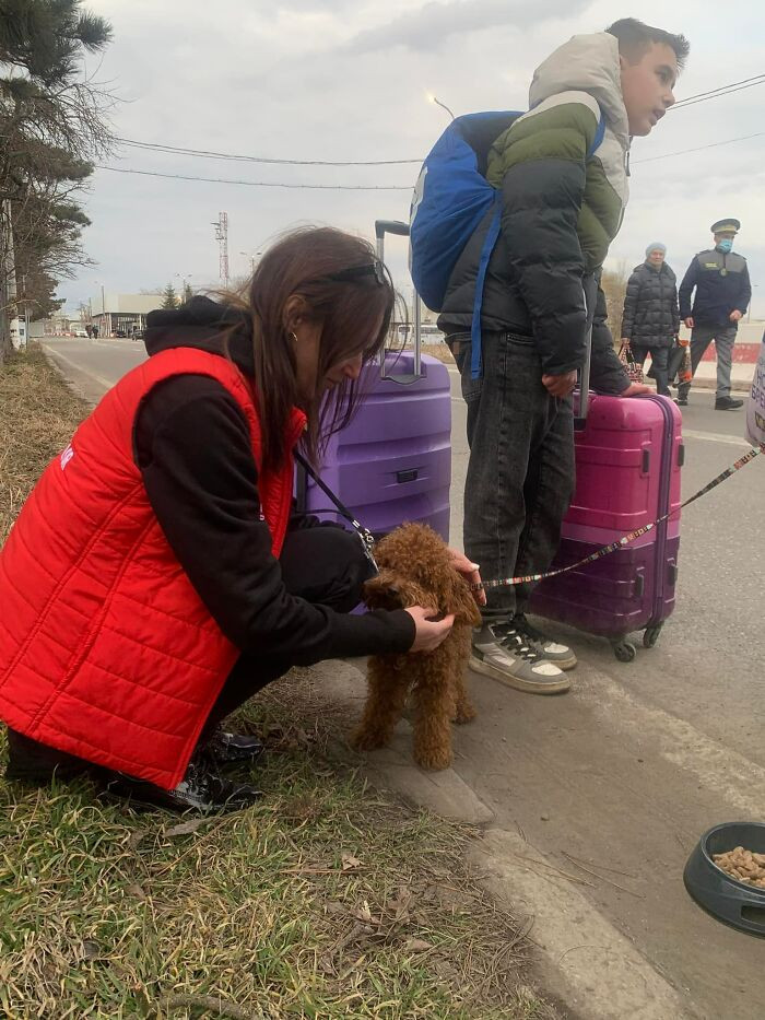 #36 Petting my little one