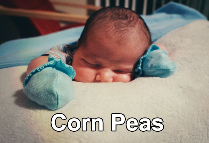 29. Corn Peas